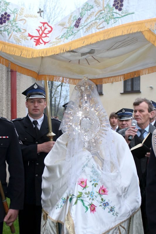 Najświętszy Sakrament pod baldachimem.