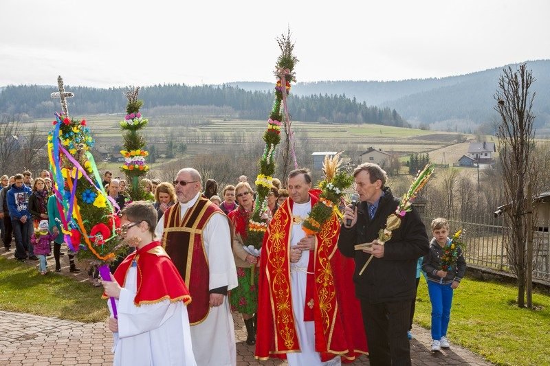 Kapłani i palmy na tle gór.