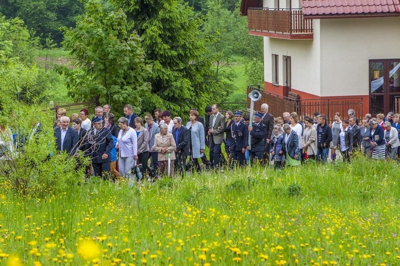 Procesja na łące.